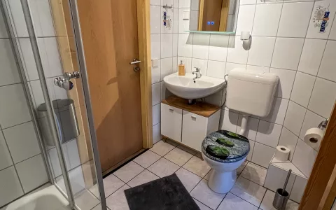 Waschbecken, Toilette & Eingang zum...